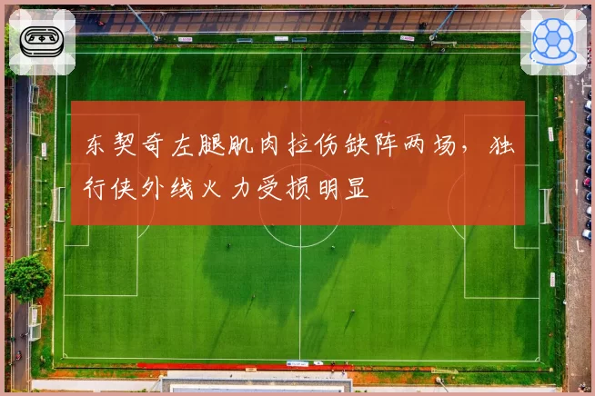 东契奇左腿肌肉拉伤缺阵两场，独行侠外线火力受损明显