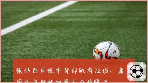 张伟丽训练中背部肌肉拉伤，康复团队与教练组意见分歧曝光